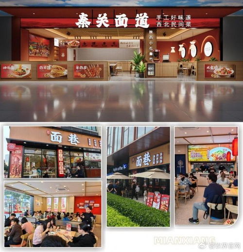 秦關(guān)面道攜手面巷 雙品牌戰(zhàn)略升級(jí)背后的供應(yīng)鏈革新——惠優(yōu)品食品工廠隆重揭幕