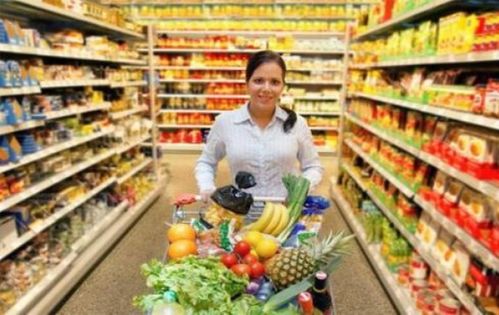 食品經營許可證遺失登報掛失指南