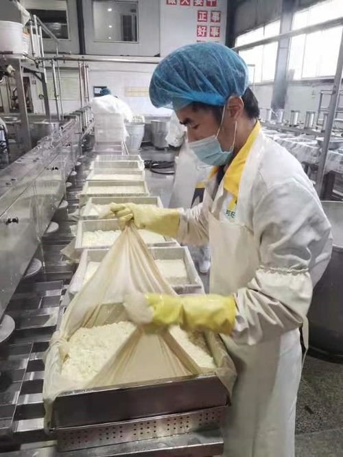 誠信經營 安陽可旺食品打造放心豆腐品牌之路